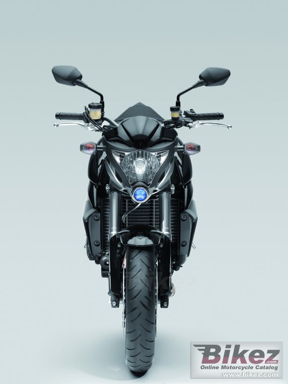 2009 Honda CB1000R photo